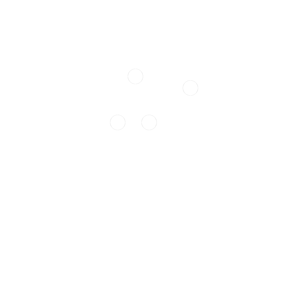 White company logo for Physec Systems